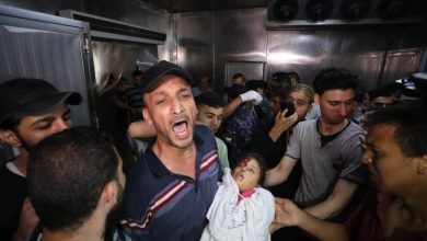 حصيلة ضحايا عدوان جيش الاحتلال الإسرائيلي على غزة تتجاوز 8000 شهيدا