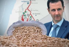 سوريا: نظام الأسد وصناعة الكبتاغون