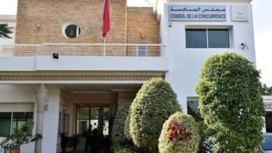 اختلالات قطاع المطاحن بالمغرب وسط أزمة الحبوب العالمية: تقرير مجلس المنافسة 2024