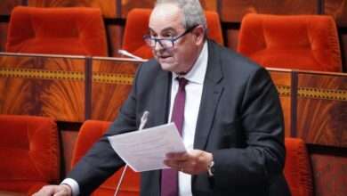 وزير التعليم العالي عز الدين ميداوي