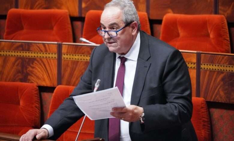 وزير التعليم العالي عز الدين ميداوي