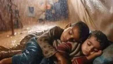 غزة.. حين تتآمر الحرب والطبيعة والصمت العربي على الحياة