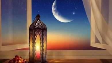 حيٌّ رغم كل شيء..